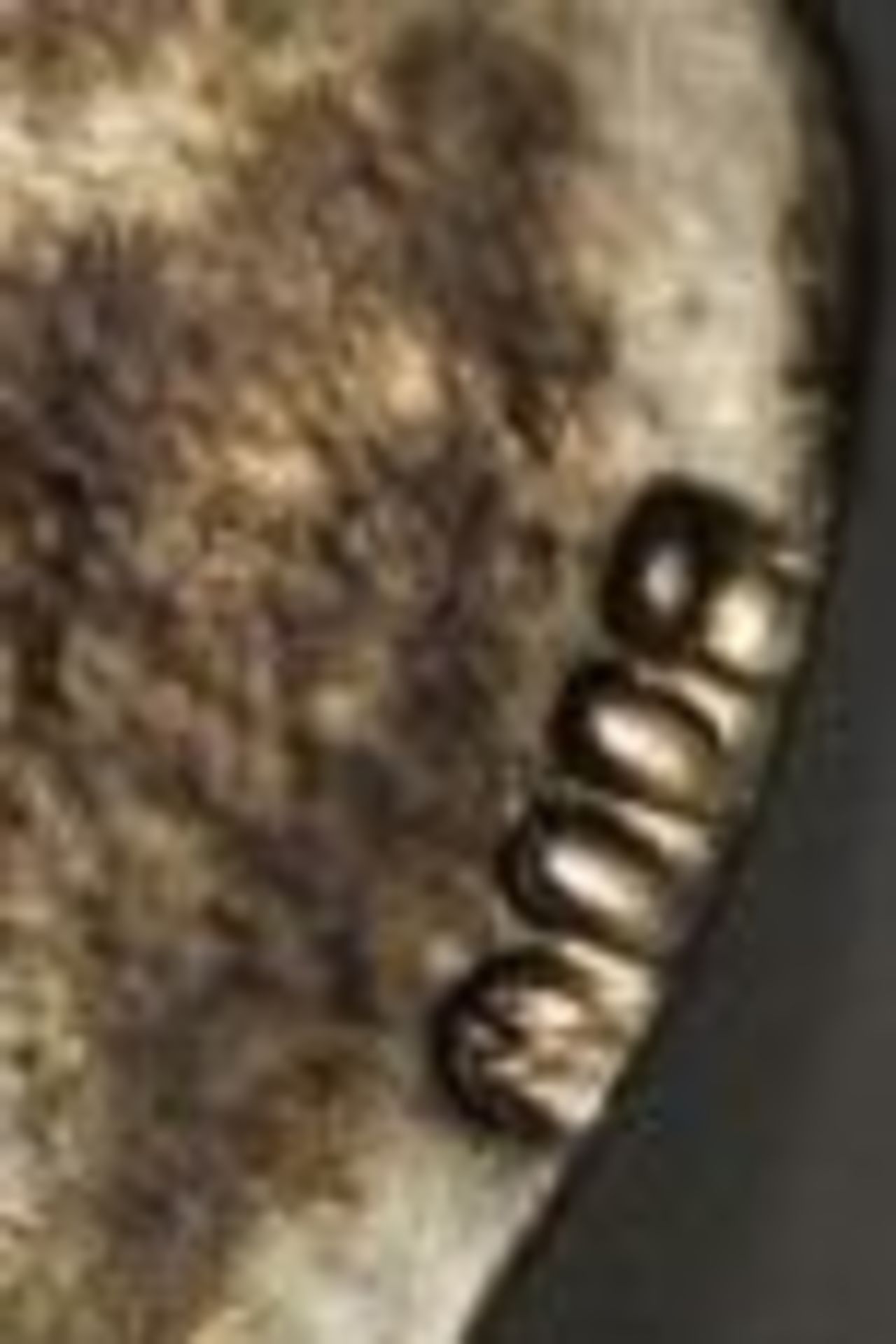 gr. Zier-Heber, 800er Silber, maritimes Dekor, 54,3gr., L-22cm. - Bild 2 aus 2