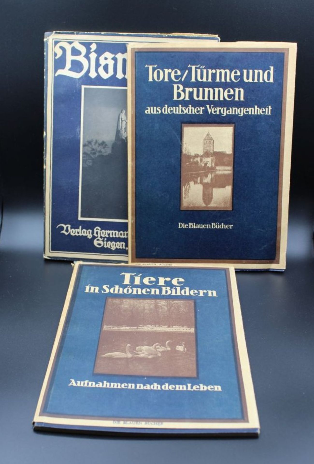 2x Ausgaben "Die blauen Bücher", sowie 1x "Bismarck" um 1920.