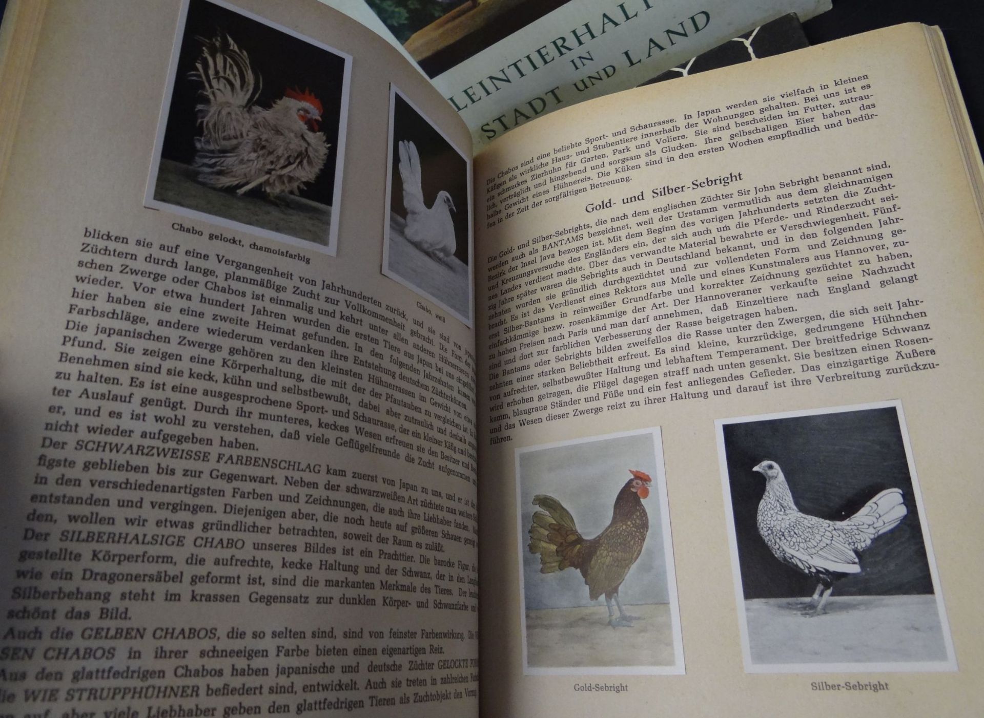3x Sammelalben "Kleintierhaltung in Stadt und Land Bd. 1+2" und "Hühnerhaltung", komplett und gu - Bild 6 aus 8