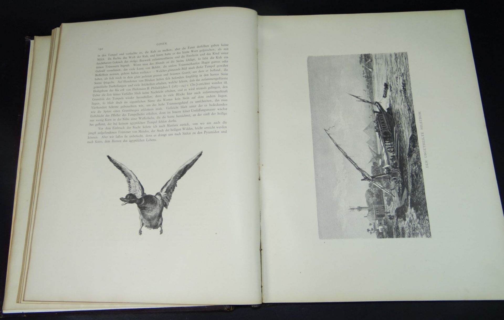 Ebers Georg, Aegypten, Ägypten in Bild und Wort Band I und II, 1879, Bde., Folio. 387/432 S., mit - Bild 5 aus 10