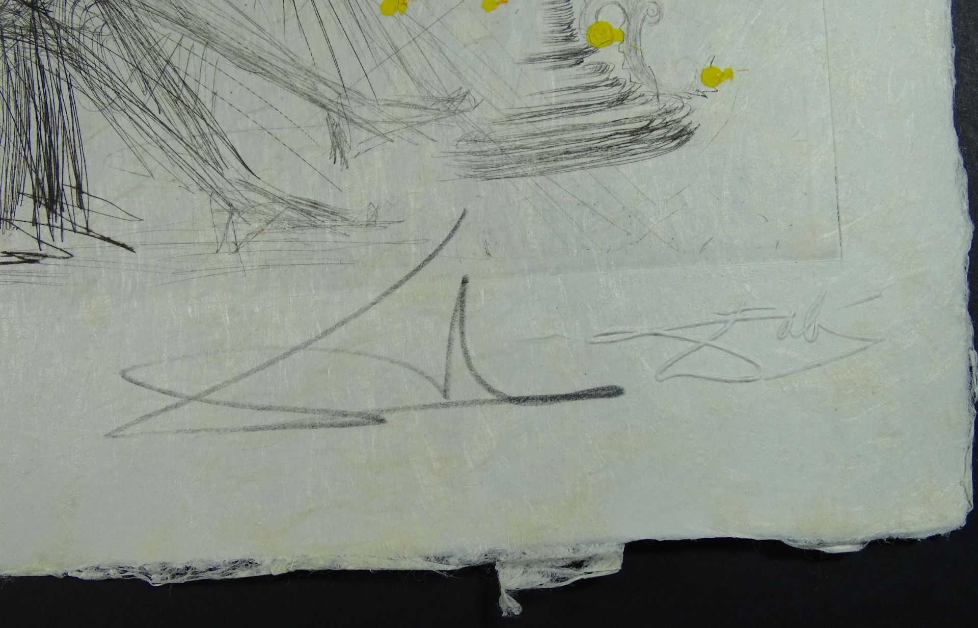 Salvador DALI (1904-1989), Farbradierung, Nr. 8/95, signiert, 38x28 cm - Image 3 of 4