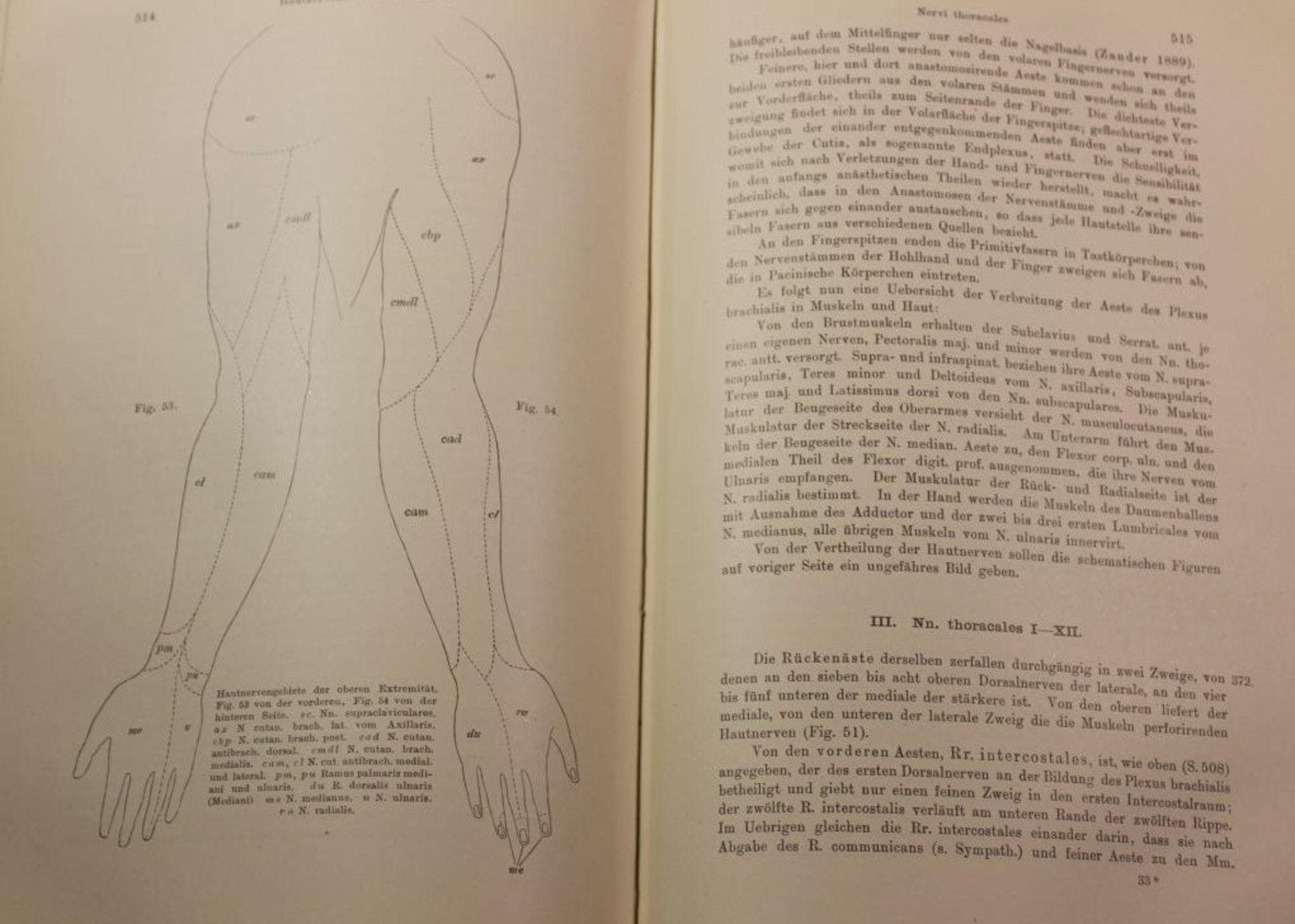 2 Bände Anatomie des Menschen, Textband und Atlas, 190 - Bild 4 aus 6