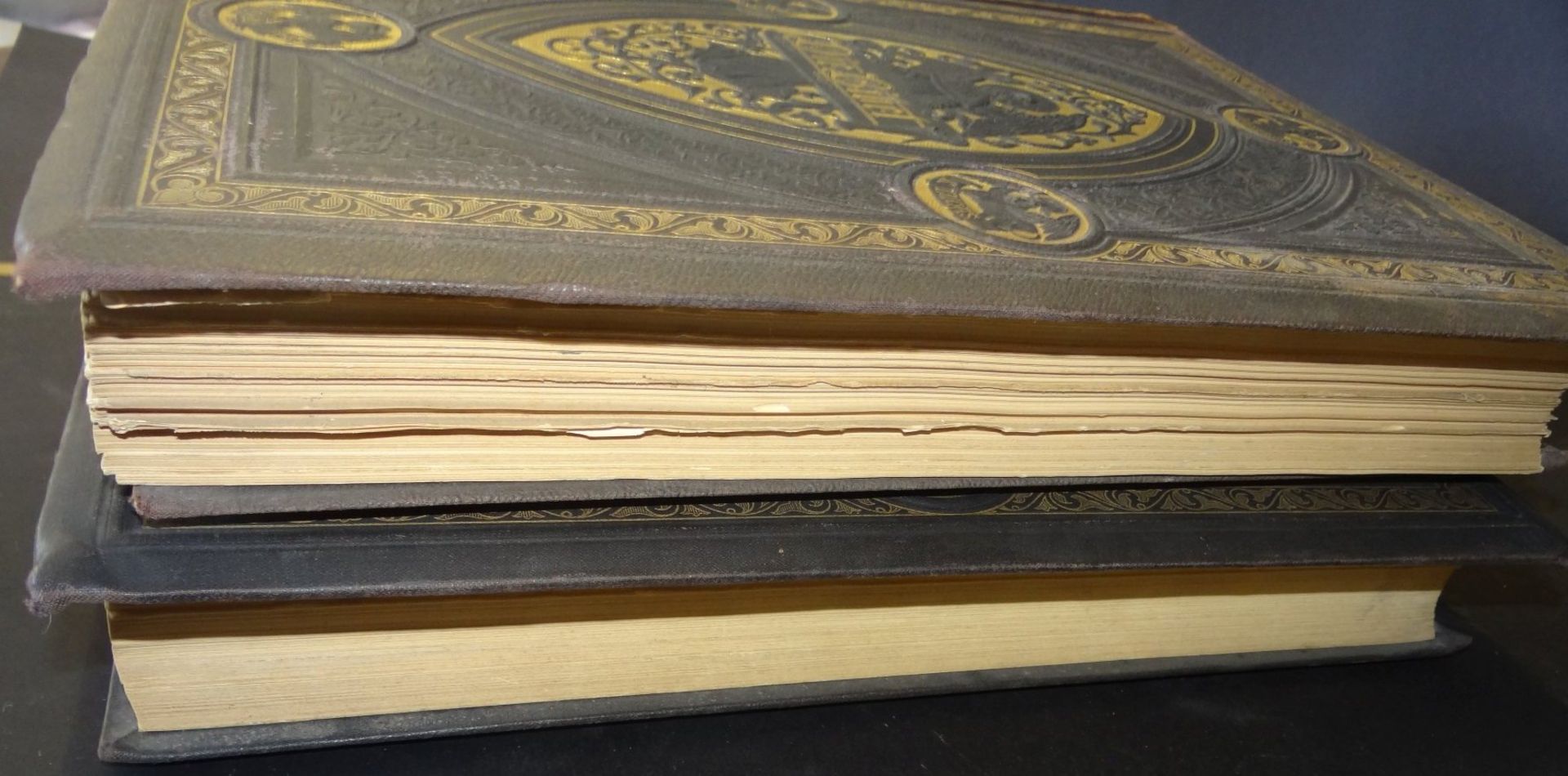 "Die Heilige Schrift" mit Hauschronik,2x Prachtbände illustriert mit 127 Chromdrucken, - Bild 9 aus 9