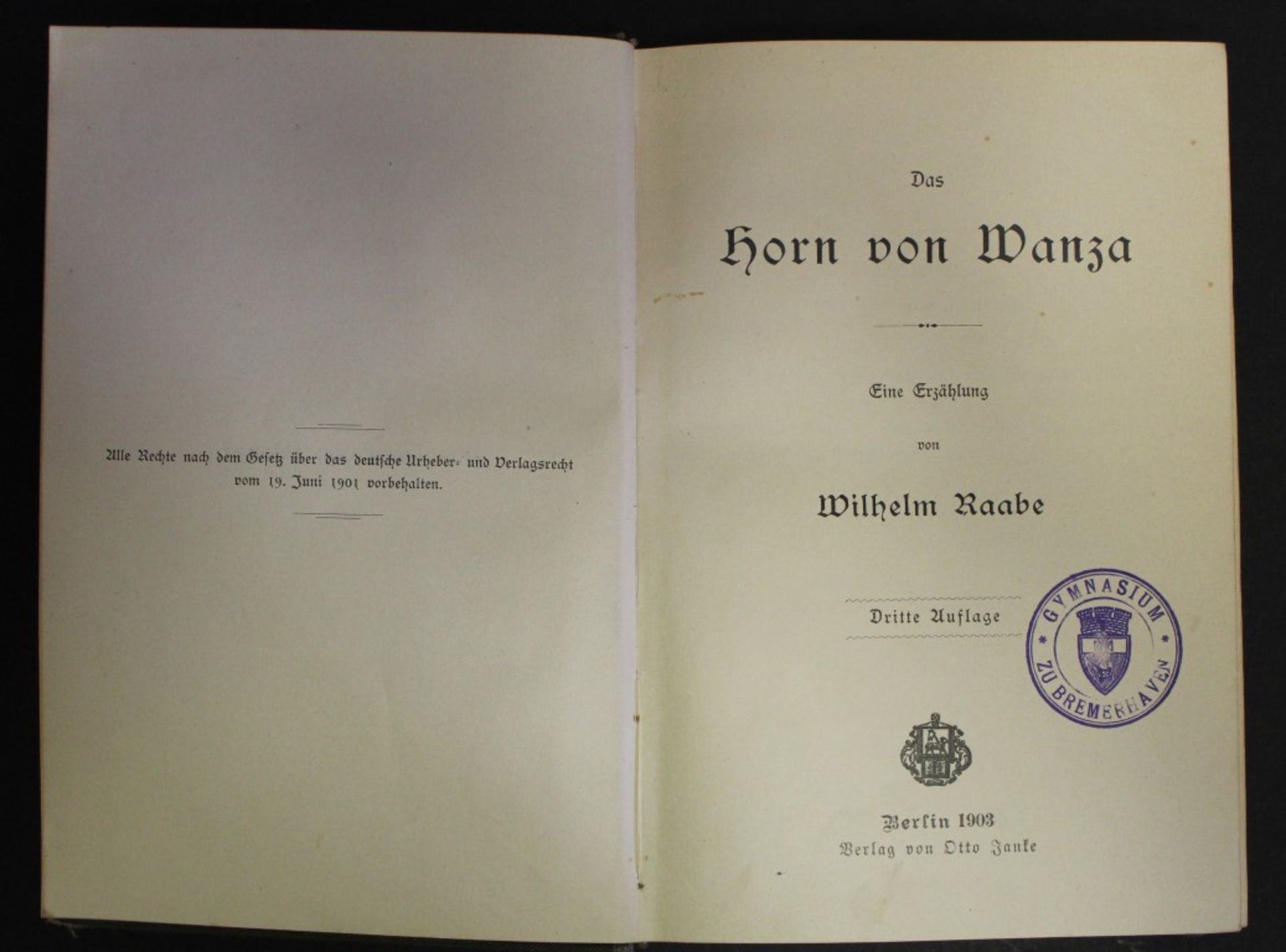 Das Horn von Wanza, Eine Erzählung von Wilhelm Raabe, Berlin 1903, dritte Auflage, Alters-u. - Image 2 of 4