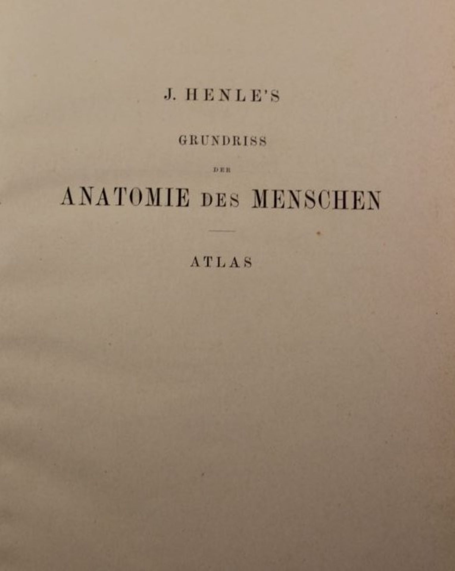 2 Bände Anatomie des Menschen, Textband und Atlas, 190 - Bild 5 aus 6