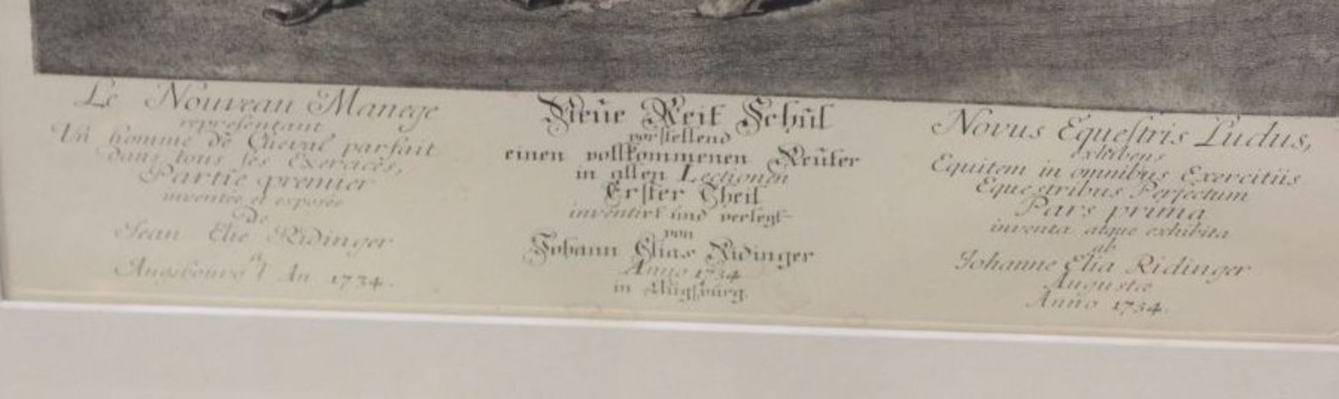 Radierung Johann Elias Ridinger, später Abzug, ger. /Glas, RG 68 x 50cm. - Bild 3 aus 3