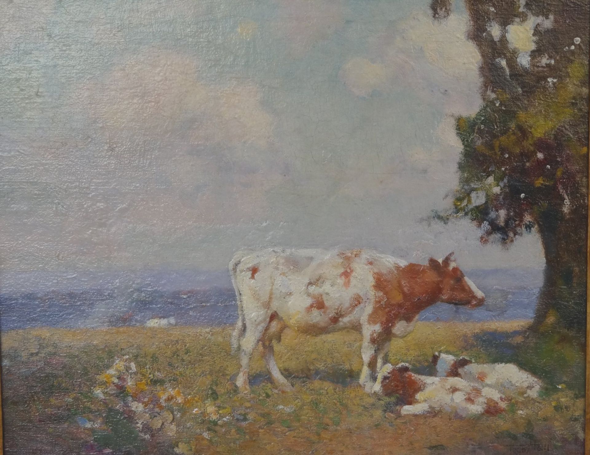 Frederick HALL (1860-1948) "Kuh mit 2 Kälbern", Öl/Leinen, 36x46 cm, gerahmt RG 46x53