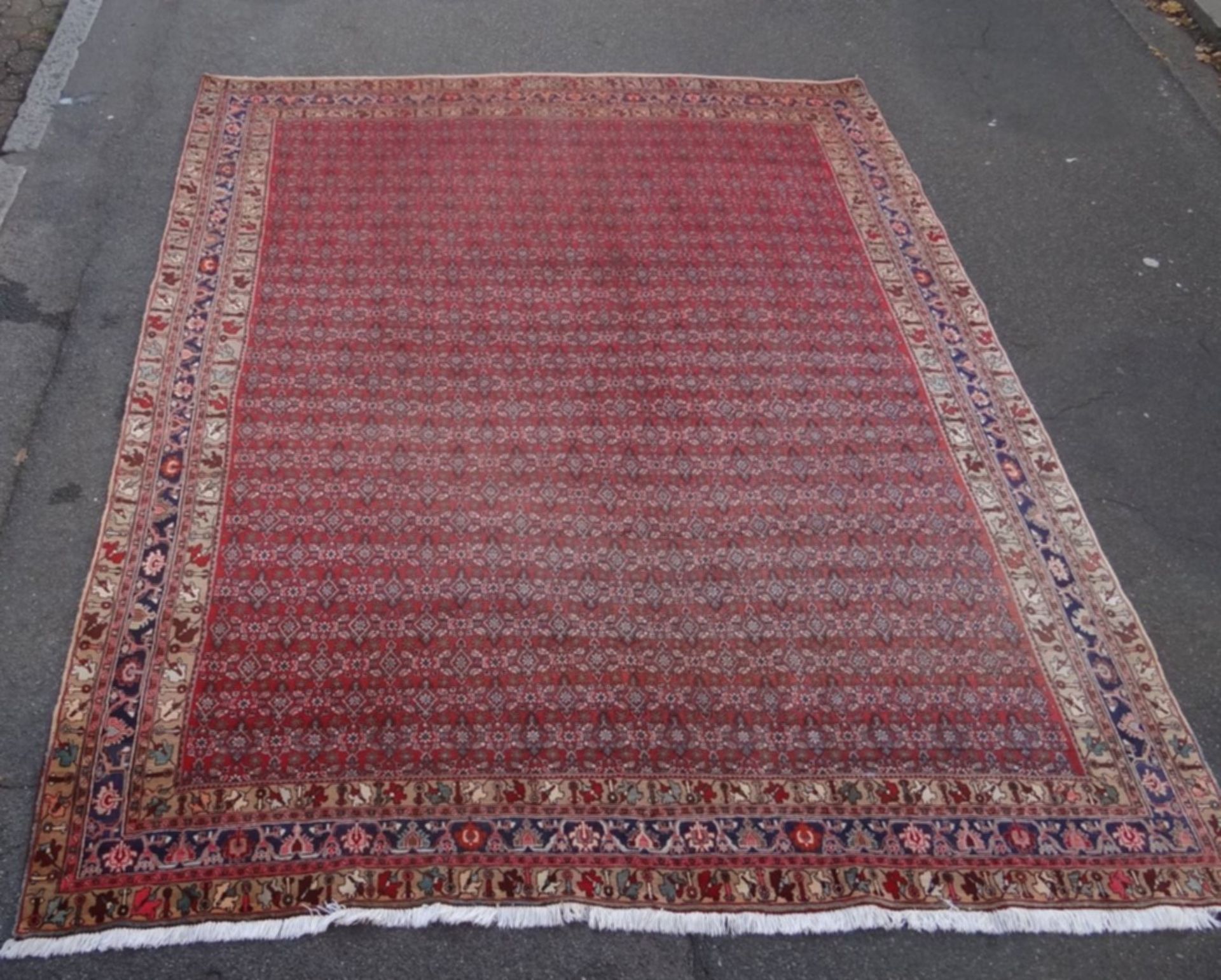 Orient-Teppich "Bidjar", 345x257 cm