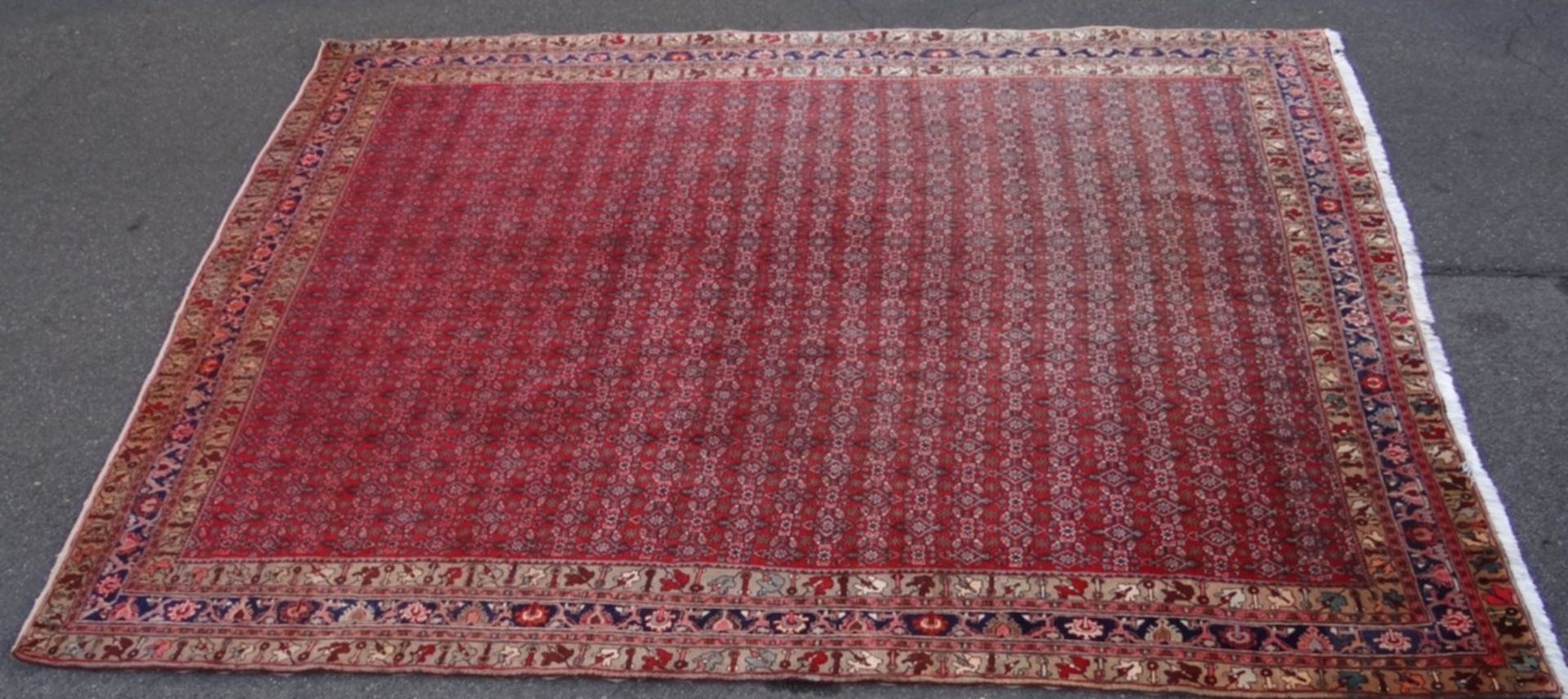 Orient-Teppich "Bidjar", 345x257 cm - Bild 2 aus 7