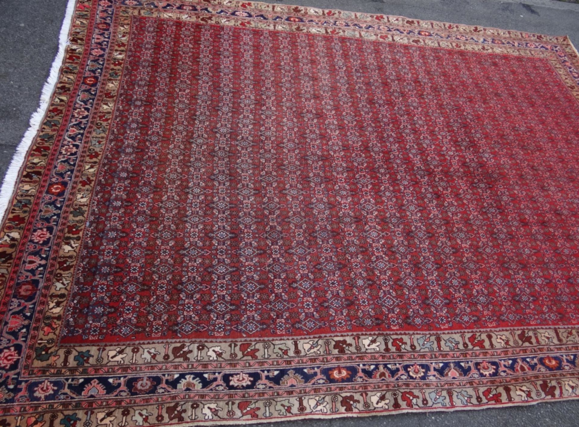 Orient-Teppich "Bidjar", 345x257 cm - Bild 3 aus 7
