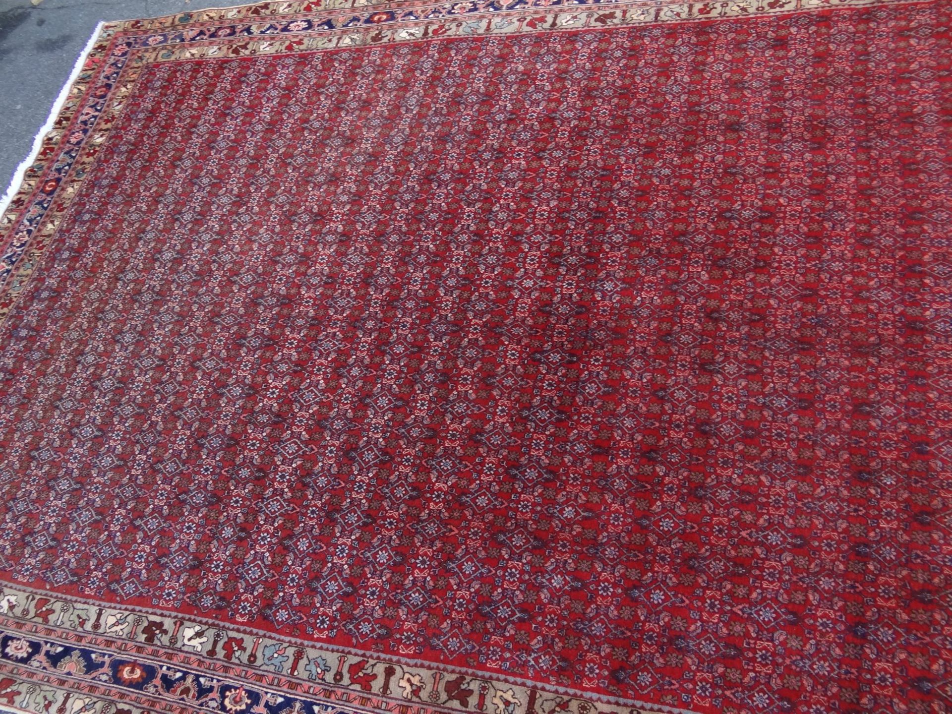 Orient-Teppich "Bidjar", 345x257 cm - Bild 4 aus 7