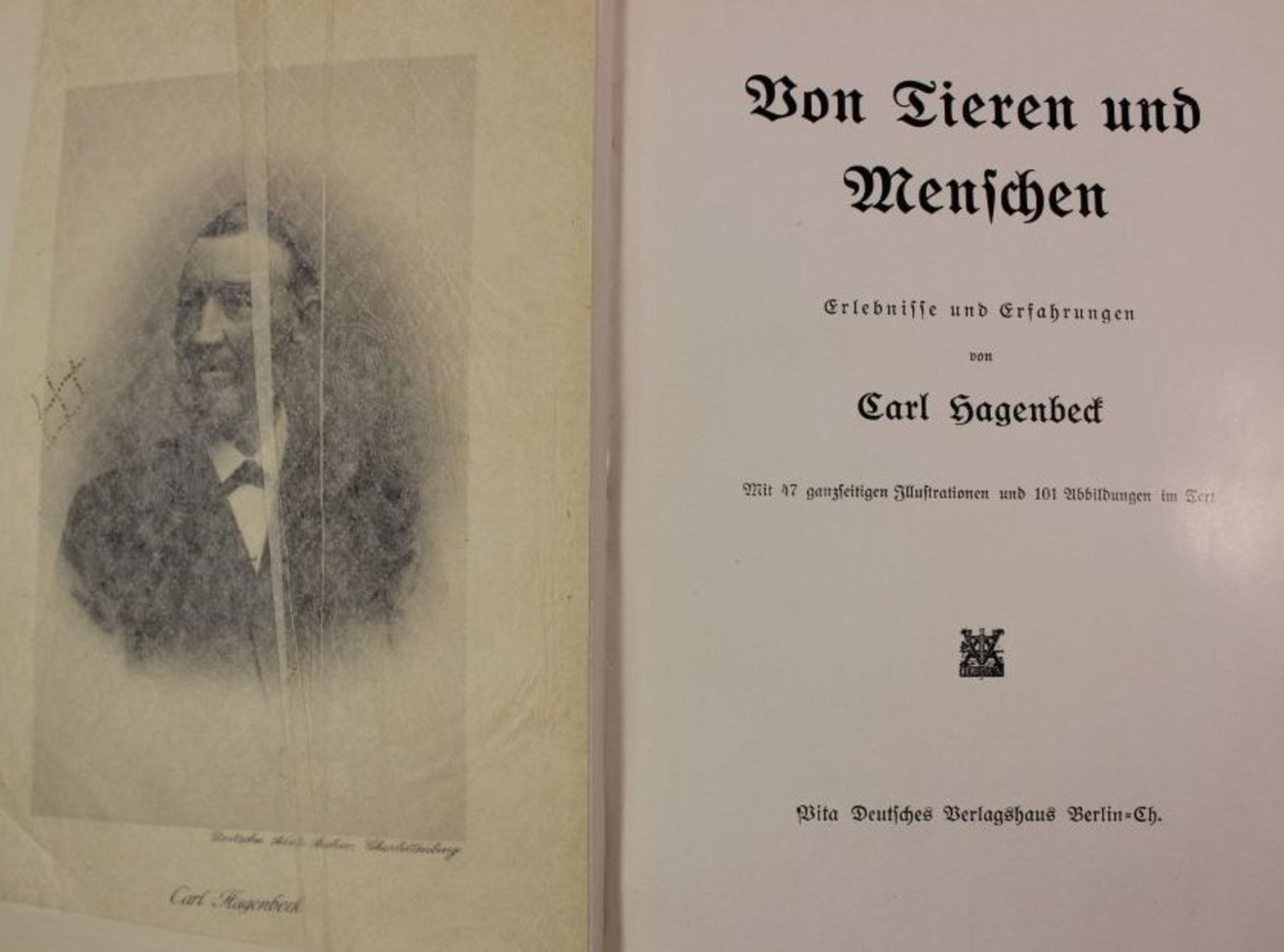 Von Tieren und Menschen - Erlebnisse und Erfahrungen, Carl Hagenbeck, 1908, Alters-u. - Bild 2 aus 3
