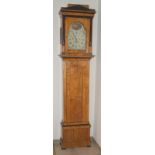 Standuhr des Biedermeier, um 1830 der Kasten Birke auf Weichholz furniert partiell ebonisiert, das