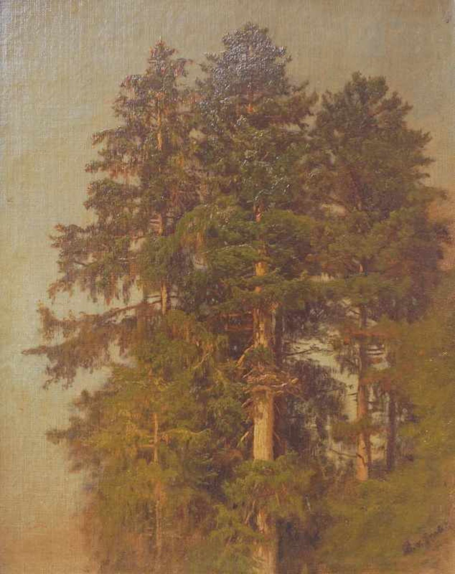 Grab, Bertha Edle von (1840 Prag-1907 ebenda): Große Baumstudie Öl auf Leinwand auf Karton
