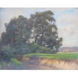 Grab, Bertha Edle von (1840 Prag-1907 ebenda): Rheinische Landschaft mit Bachlauf Öl auf