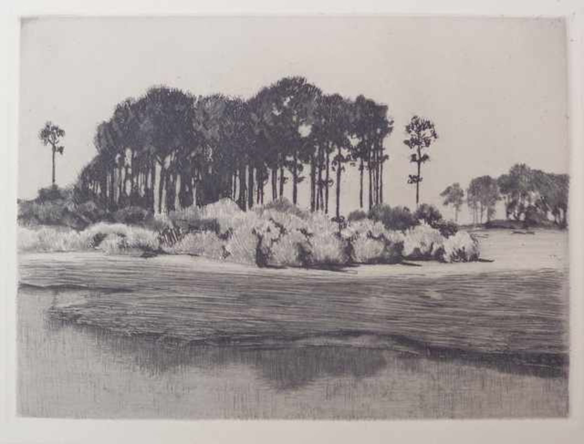 Walter Leistikow (*1865 in Bromberg,  1908 in Zehlendorf): Märkische Landschaft, Radierung, ca.