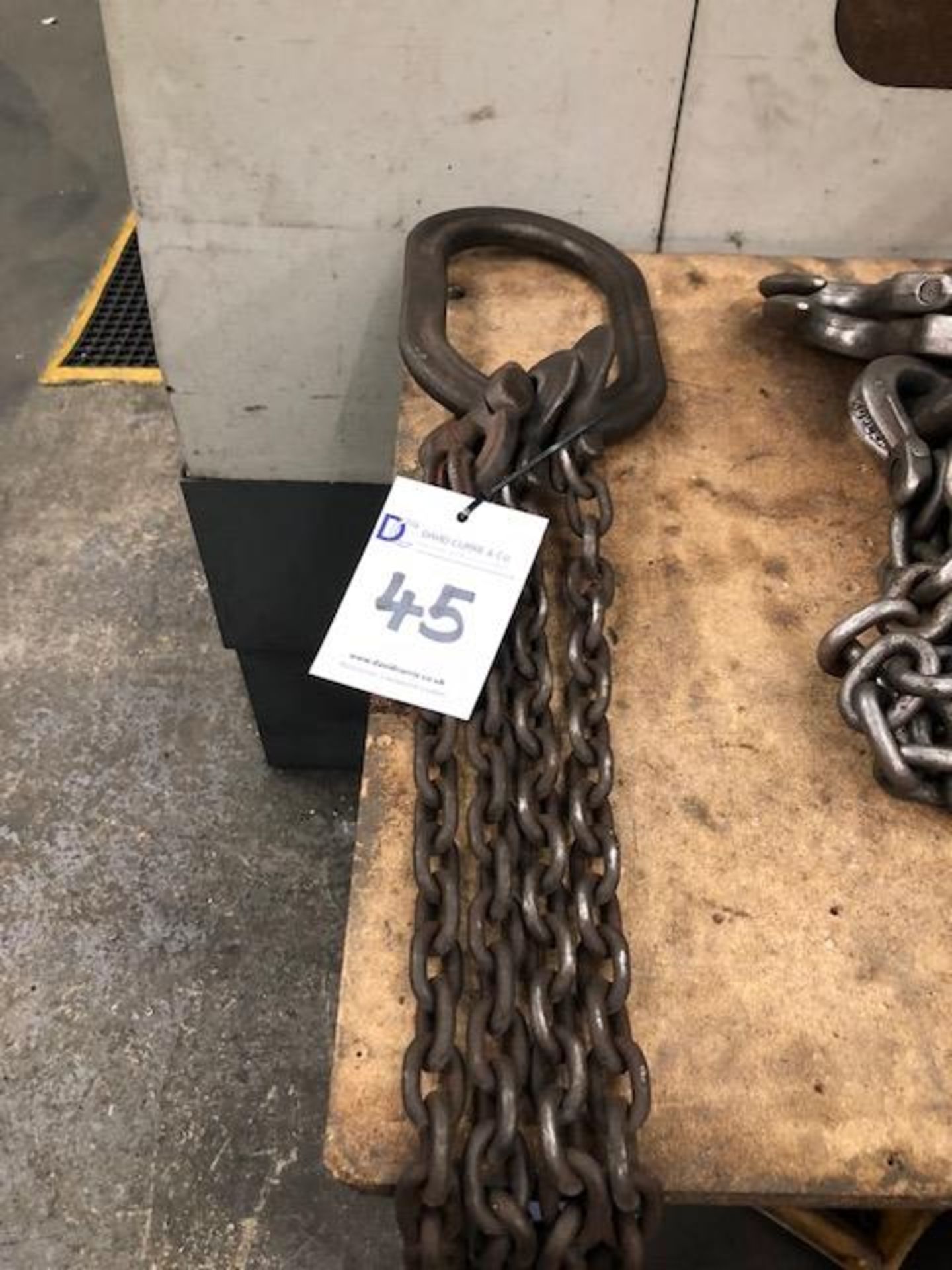 Two leg lifting chain