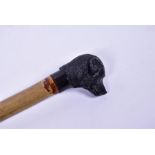 An early 20th century walking stick the black-painted handle formed as the head of a black Labrador,