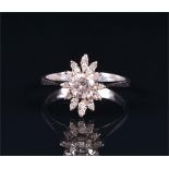 A white gold (tested) and diamond oval cluster ring set with a round brilliant-cut diamond of