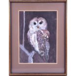 Aubrey Williams (1926-1990) British study of a Tawny Grey Owl, watercolour and gouache, signed and