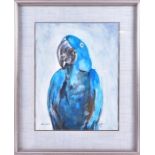 Aubrey Williams (1926-1990) British study of a Blue Macaw, watercolour and gouache, signed and dated