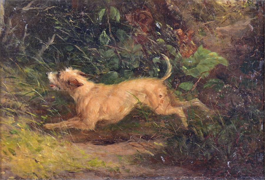 A small 19th century of a bounding terrier running through woodland undergrowth, oil on board (