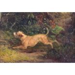 A small 19th century of a bounding terrier running through woodland undergrowth, oil on board (
