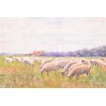 Kate Augusta Parks Arwa (born 1865) British 'Grazing Sheep', watercolour, signed to lower left