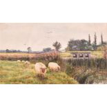 Arthur Anderson Fraser (1861-1904) British sheep grazing in a water meadow, watercolour, signed in