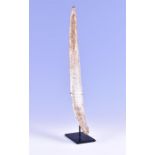 Of ethnographic interest, an unusual engraved cattle rib bone believed to be Middle Eastern in