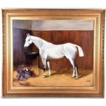 J.A.B Jay (fl. 1880-1883) British ‘Guy Fawkes’, a scene of a dappled grey race horse in a stable