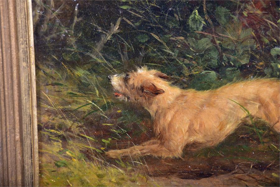 A small 19th century of a bounding terrier running through woodland undergrowth, oil on board ( - Image 2 of 6