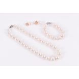 A cultured pearl necklace together with a matching bracelet, and a pair of gilt metal pearl drop