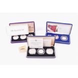 MIXED COINS, GREAT BRITAIN. Three silver proof three-coin, coin sets. 2003 Silver Proof Piedfort 3-