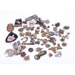 A large collection of military cap badges tunic badges and buttons, of various regiments.