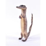 A late 19th / early 20th century taxidermy caiman comically standing on hind legs, 27.6 cm high.