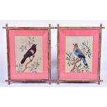 Two 19th century Chinese studies of birds formulated from real feathers, on a watercolour