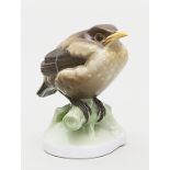 Wittmann, Christian (1871 Fronhof - Oberammergau 1958) "Junge Amsel". Bunt bemalt. Form-Nr. 438 8,