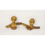 Stel verguld houten engelen, h. 19, br. 25 cm. A pair of gold lacquer wooden sculptures of angels,