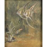 Greta Bruigom (1894-1935)Tropische vissen aquarel, gesign. r.o., 28,5 x 23 cm. [1]