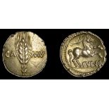 Iron-Age Coins