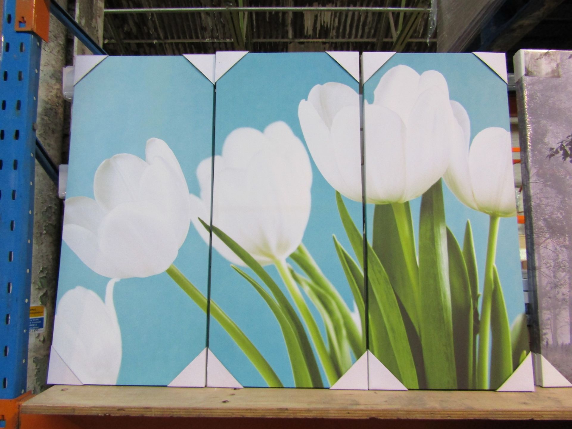 1 BRAND NEW BOXED ARTHOUSE TRIPTYCH DISCOVERY WHITE TULIP CANVAS 004655