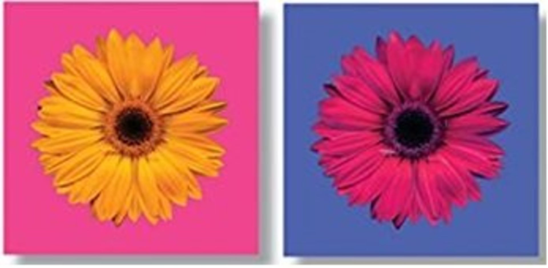 1 BRAND NEW BOXED ARTHOUSE PIXEL GERBERA MIX CANVAS 002968