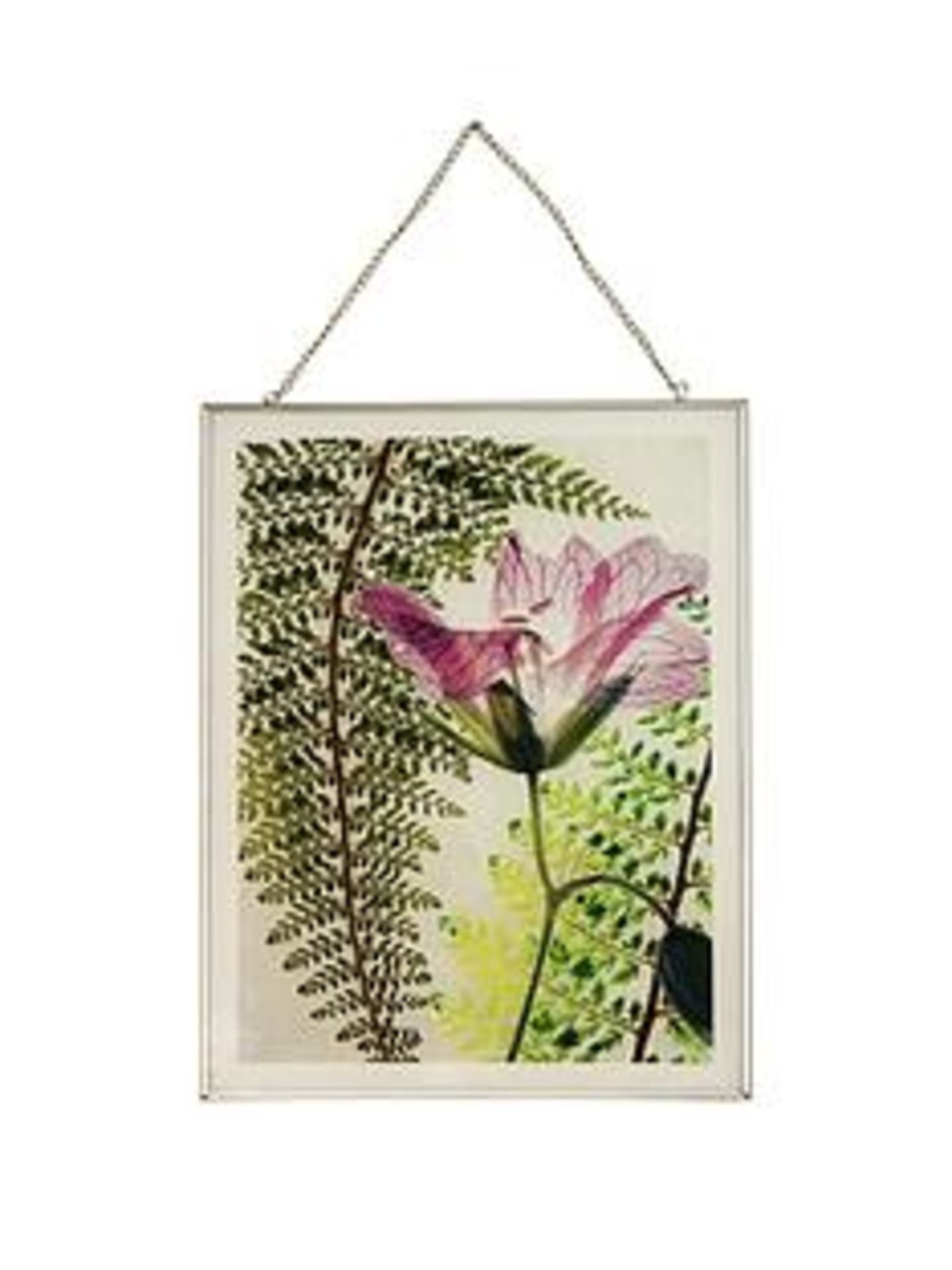 1 BRAND NEW BOXED ARTHOUSE BOTANICAL FERN GLASS FRAMED PRINT 30CMX40CM