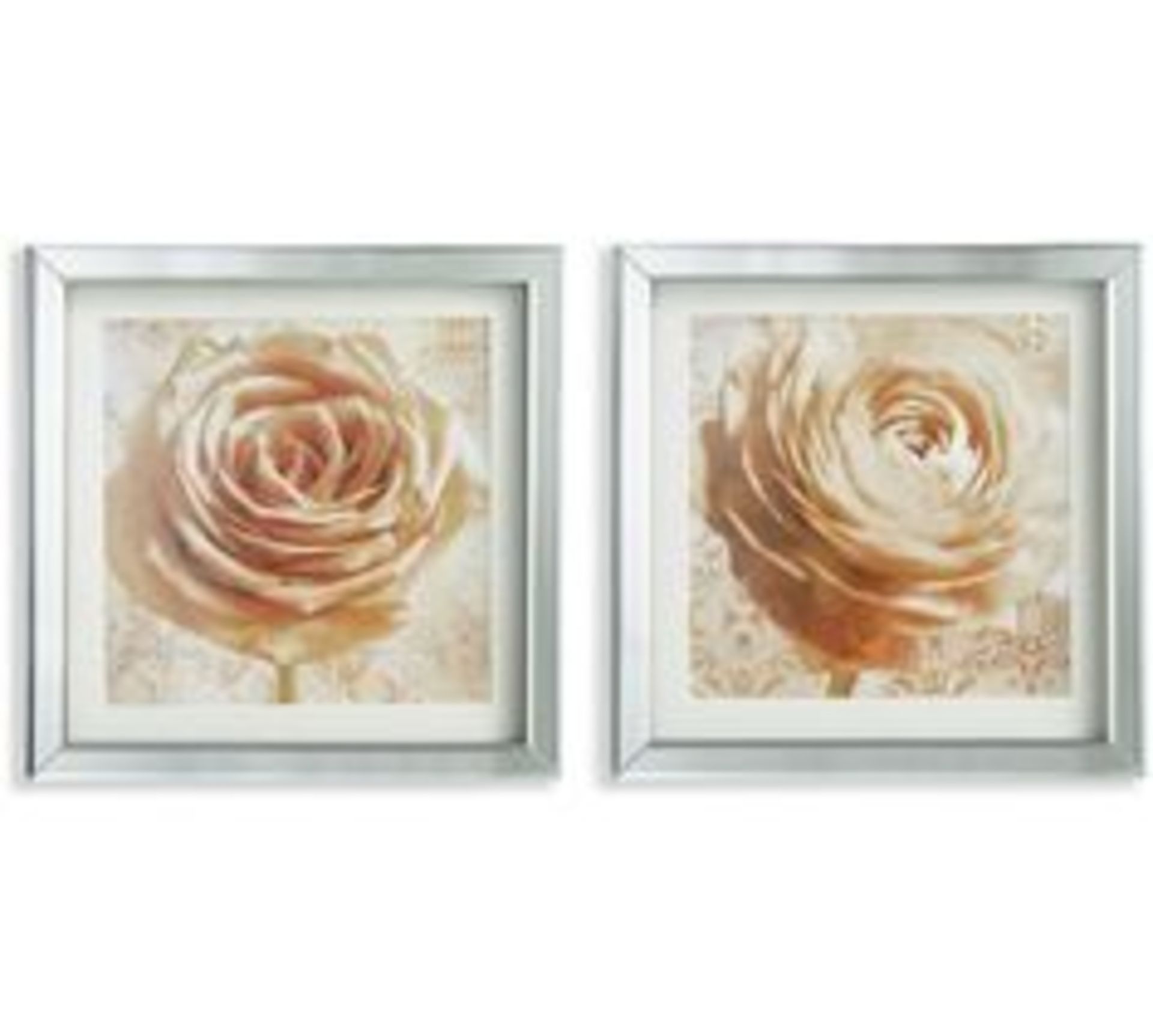1 BRAND NEW BOXED ARTHOUSE SEPIA ROSES SET OF 2 MIRRORED FRAMED CANVAS 60CMX30CM