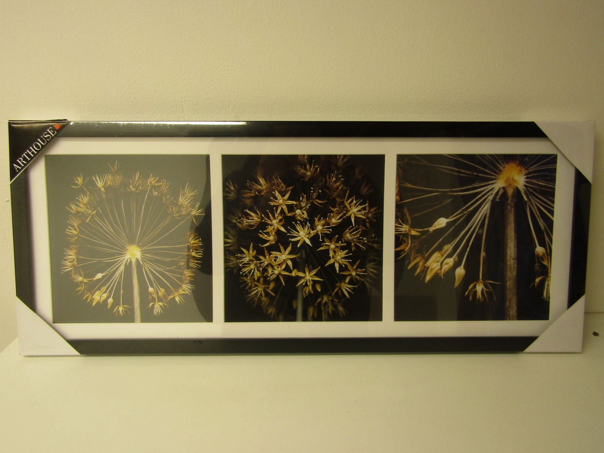 1 BRAND NEW BOXED ARTHOUSE ALIUM SET OF 3 FRAMED P