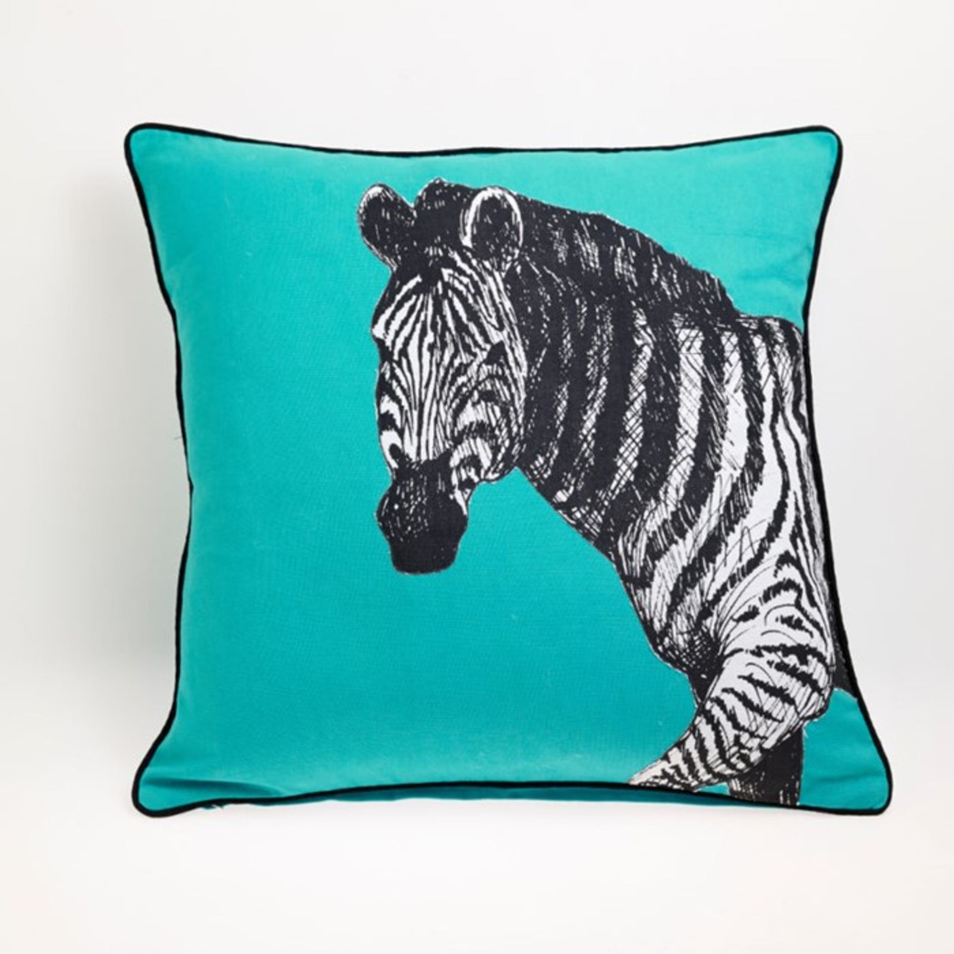 1 BRAND NEW PACKAGED ARTHOUSE ZEBRA TEAL CUSHION 300117 (VIEWING HIGHLY RECOMMENDED)