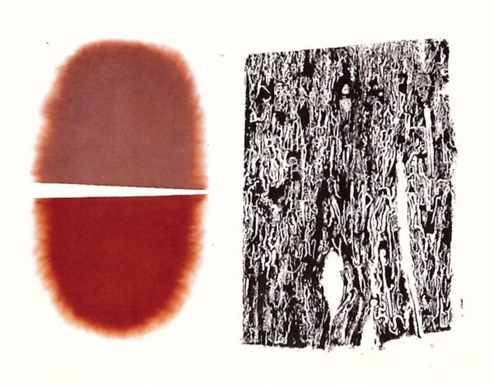 Lang, Nikolaus Offsetlithographie von 2 Platten und von Hand aufgeriebenes Naturpigment auf Arches