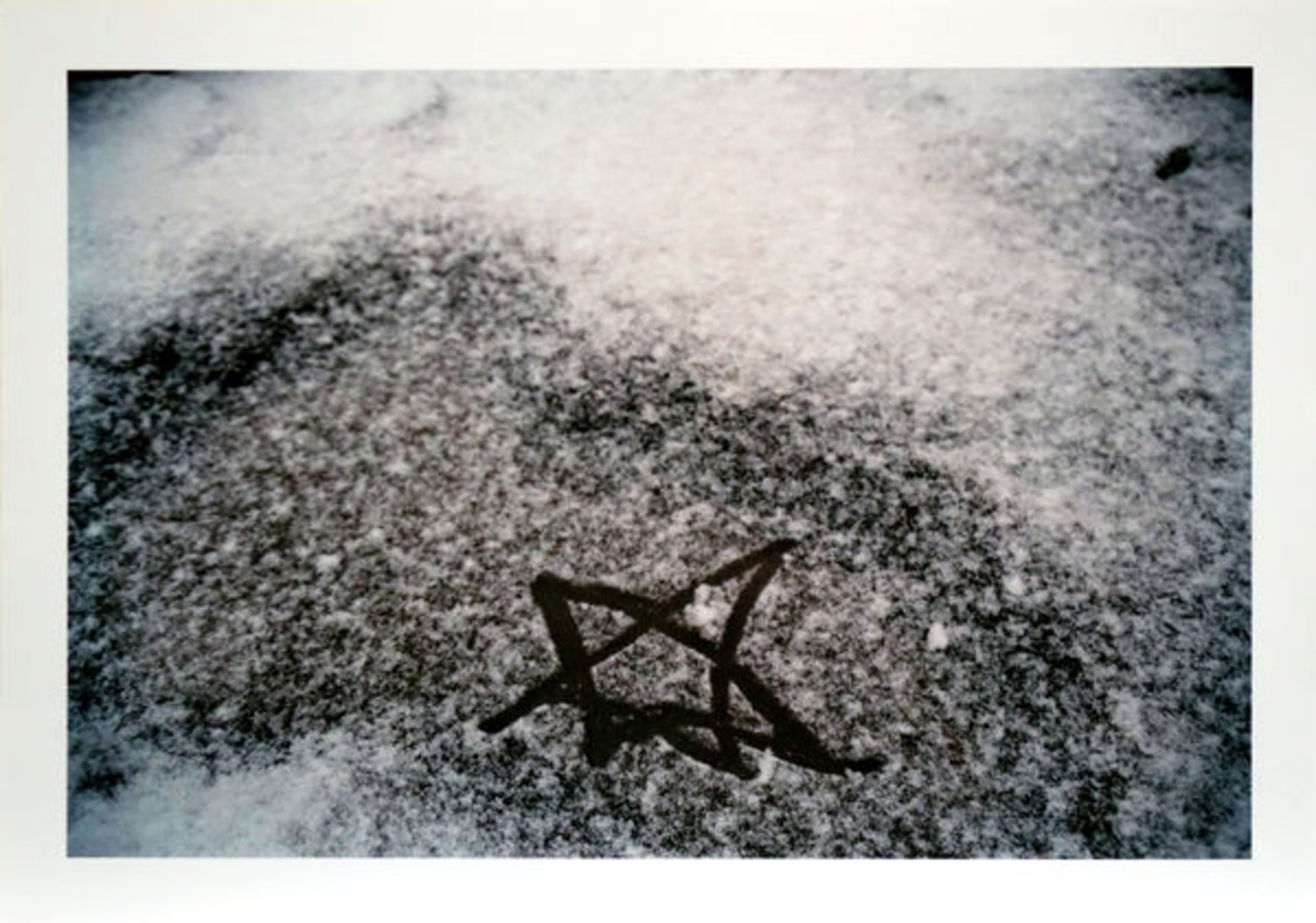 Dahn, Walter Farbphotographie auf Photopapier, 28,1 x 40 cm Kleiner Stern im Schnee (2002) Verso