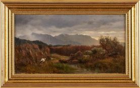 Gemälde Carl Bolze 1832 Wien - 1913 München "Moorlandschaft mit Storch" Öl/Lwd., 26,5 x 48,5 cm